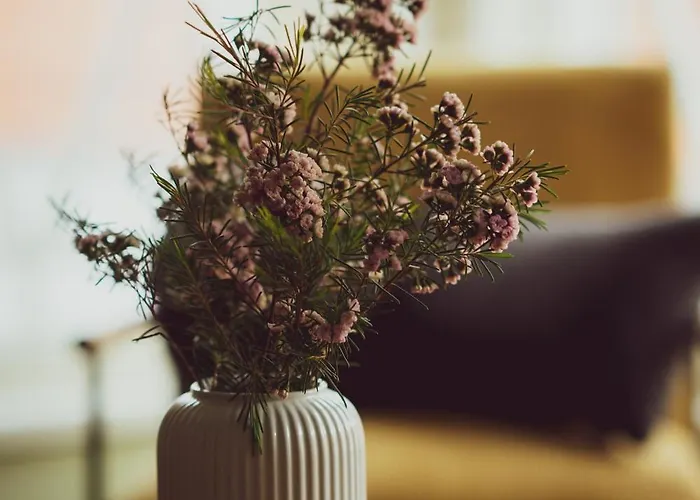 Отель Vanalinna Boutique *